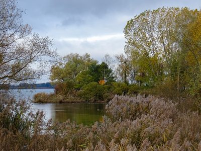 Forêt d'Orient, Aube - photo 18