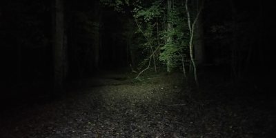 Forêt d'Orient, Aube - photo 19