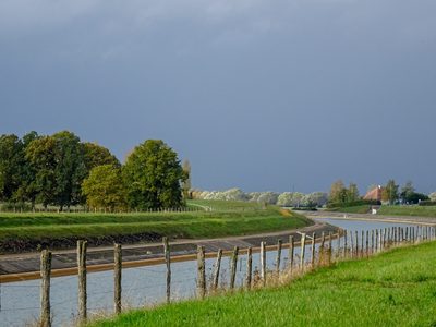 Forêt d'Orient, Aube - photo 20