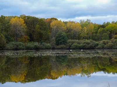 Forêt d'Orient, Aube - photo 22