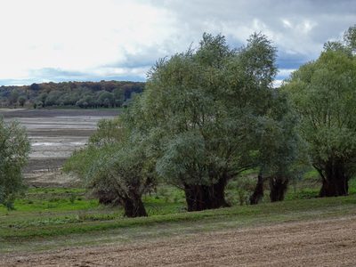 Forêt d'Orient, Aube - photo 28