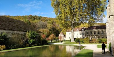 Forêt d'Orient, Aube - photo 30