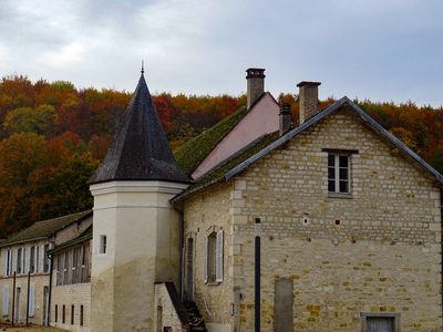 Forêt d'Orient, Aube - photo 31