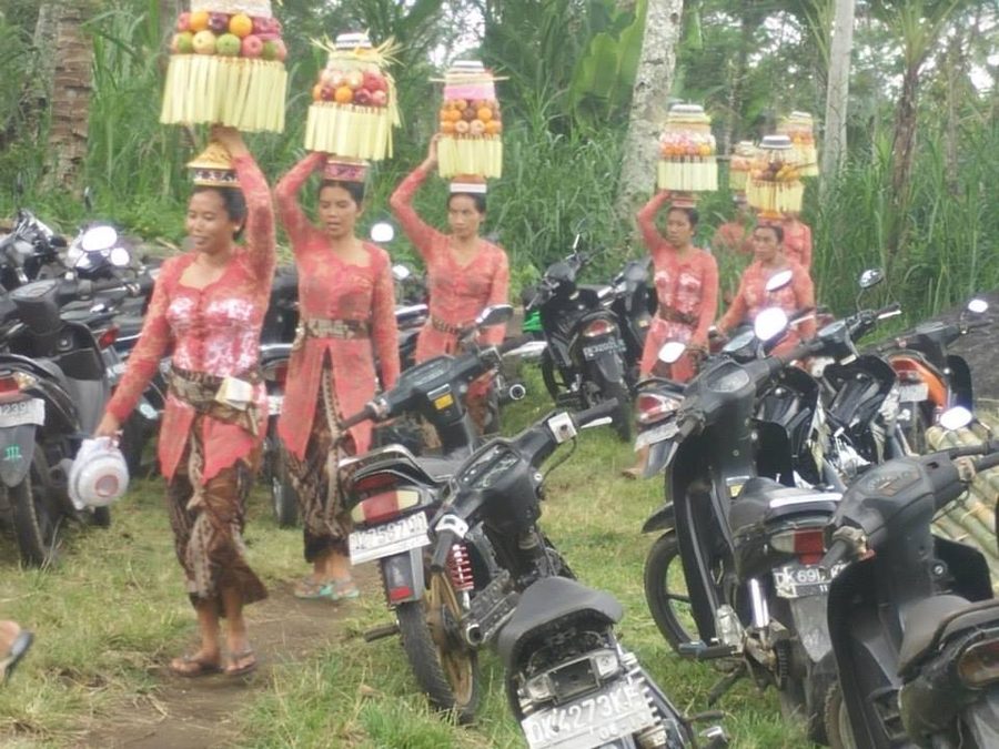 Les douceurs et épices
