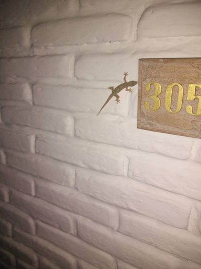 Bienvenue en Indonésie ! - photo 86