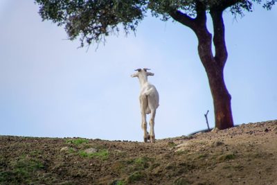 Randonnée en Andalousie - photo 22