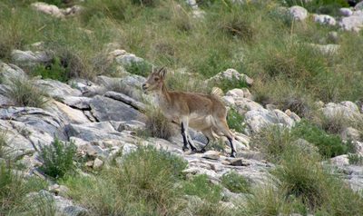Randonnée en Andalousie - photo 87