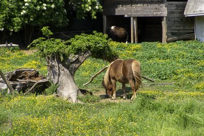 Randonnée en Ardèche 2022 - photo 30