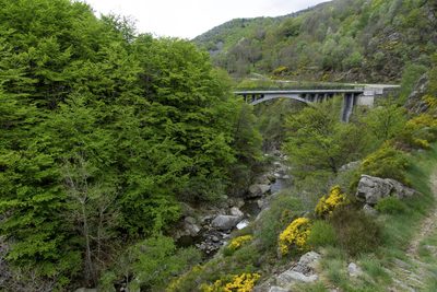Randonnée en Ardèche 2022 - photo 39