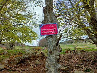 Randonnée en Ardèche 2022 - photo 48