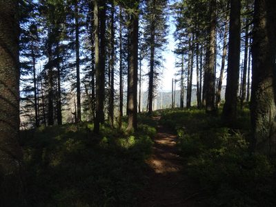 Randonnée en Forêt Noire - photo 03