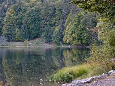 Randonnée en Forêt Noire - photo 09