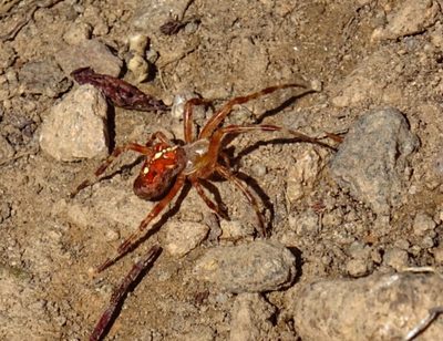 Randonnée en Forêt Noire - photo 10