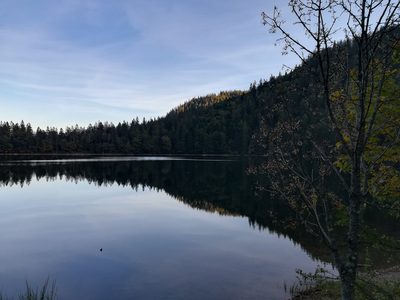 Randonnée en Forêt Noire - photo 11