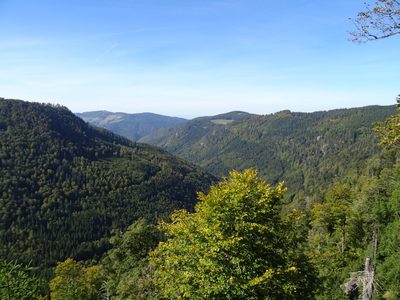 Randonnée en Forêt Noire - photo 12