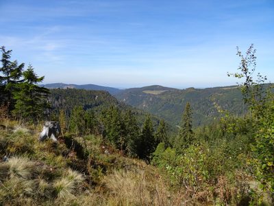 Randonnée en Forêt Noire - photo 14