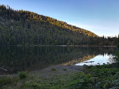 Randonnée en Forêt Noire - photo 17