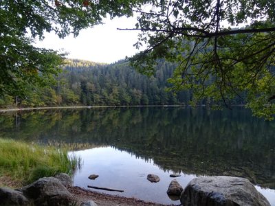 Randonnée en Forêt Noire - photo 18
