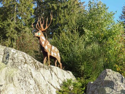 Randonnée en Forêt Noire - photo 27
