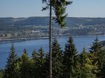 Randonnée en Forêt Noire - photo 30