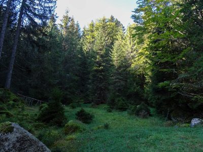 Randonnée en Forêt Noire - photo 31