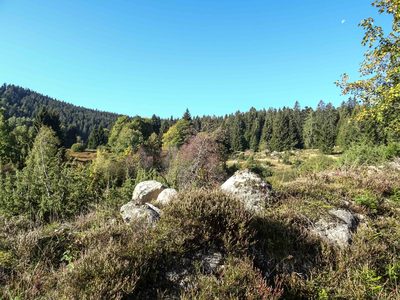 Randonnée en Forêt Noire - photo 35