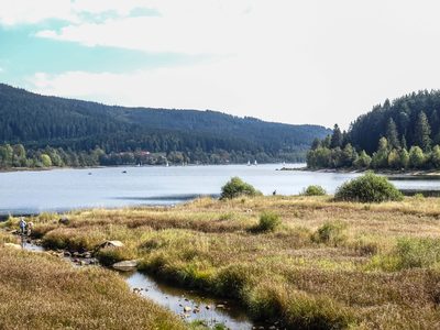 Randonnée en Forêt Noire - photo 41