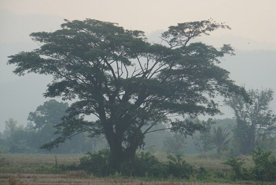 200 kilomètres à travers la Thaïlande - photo 08