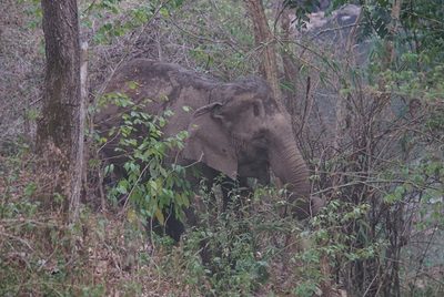 200 kilomètres à travers la Thaïlande - photo 14