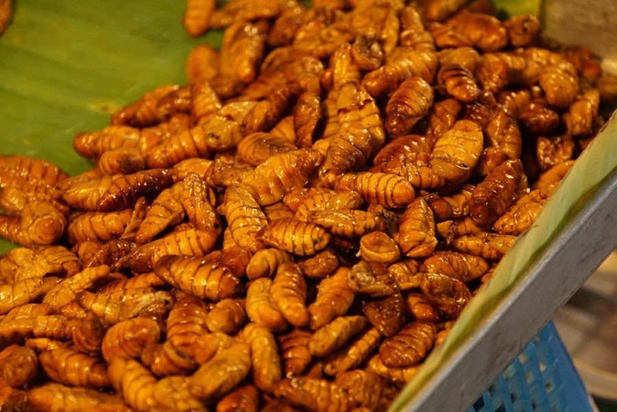 Se nourrir en Thaïlande