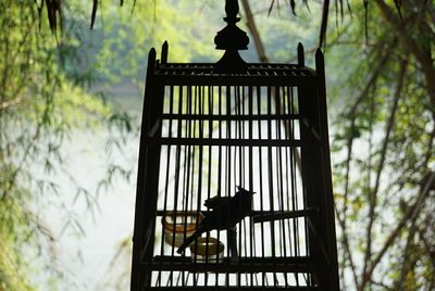 200 kilomètres à travers la Thaïlande - photo 57